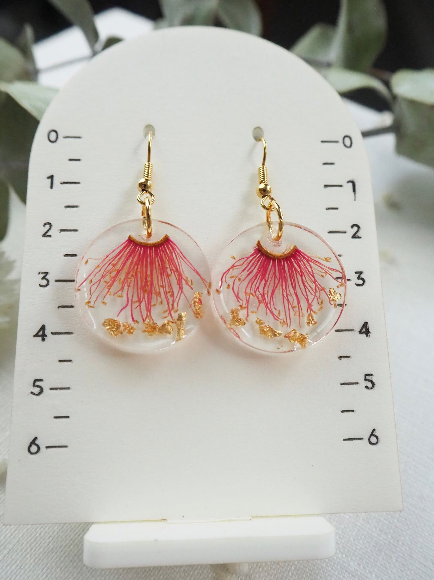 Eucalyptus flower round earrings